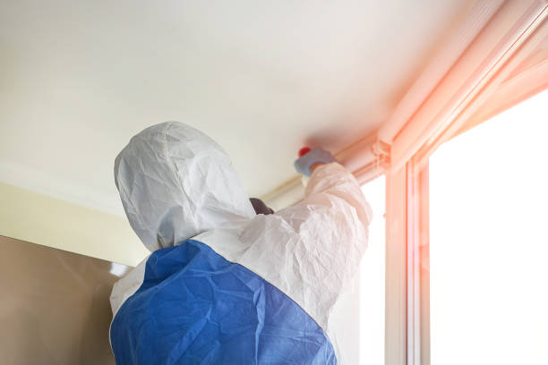 Best Asbestos and Lead Testing During Mold Inspection in Yale, OK