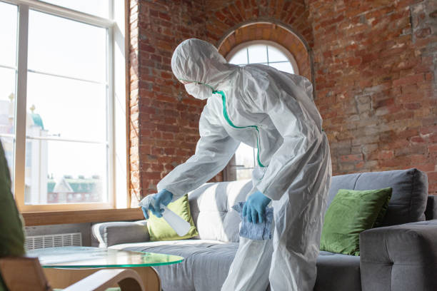 Best Mold Prevention Services in Yale, OK